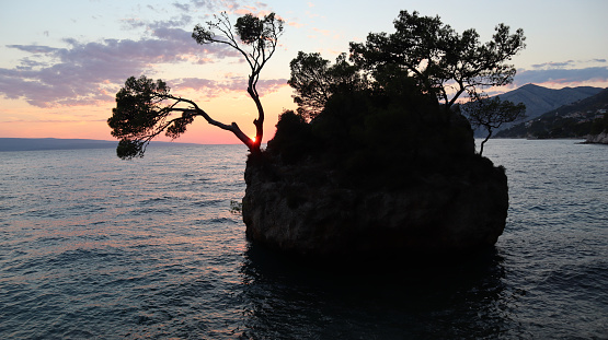 Silhouettes of pine trees on a stone against the background of a calm sea and clouds, the sky at sunset, the red sun on the horizon