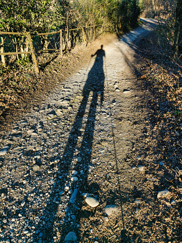 Traking men with shadow on the path with rackets