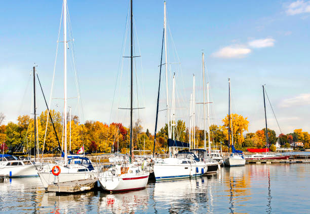 żaglówka na rzece świętego wawrzyńca montreal - marina nautical vessel sailboat harbor zdjęcia i obrazy z banku zdjęć