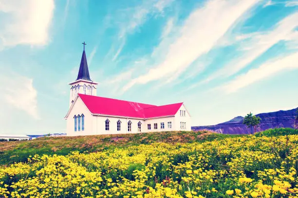 Photo of Beautiful landscape with Grundafjordur church and yellow flowers  near waterfall Kirkjufell.