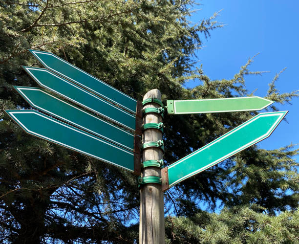 istock empty metal road direction signboard in forest. BLANK green signboards. 1392781213