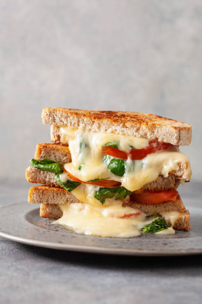 istock grilled cheese spinach and tomato sandwich on concrete background 1392788933