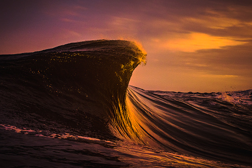 Large ocean wave forming in golden purple light