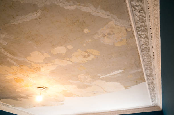 istock Decorating and Renovation Stripping Wallpaper and Ceiling 1392794660
