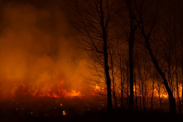 istock The disaster of a dry spring 1392794733