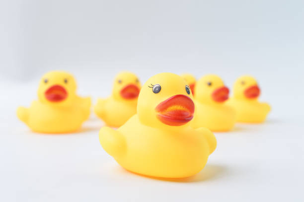 istock Toy duck leader and office workers standing together 1392795984