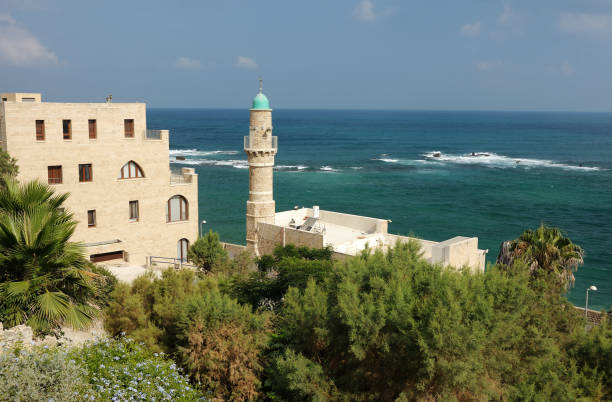 istock Mediterranean coast near the old Jaffa 1392798162