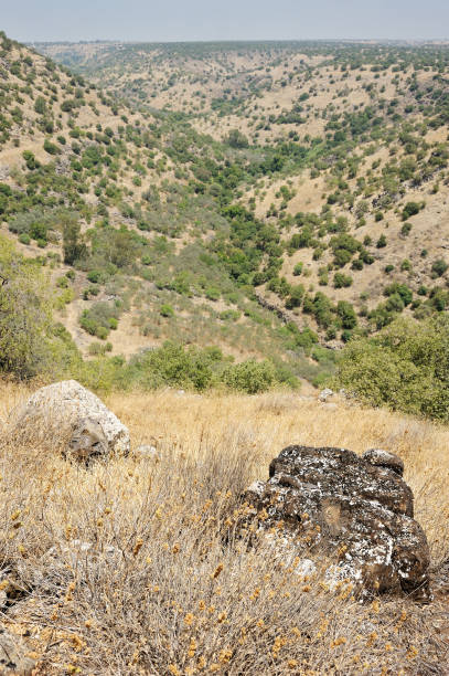 istock Stream and pond Meshushim in Israel 1392798168