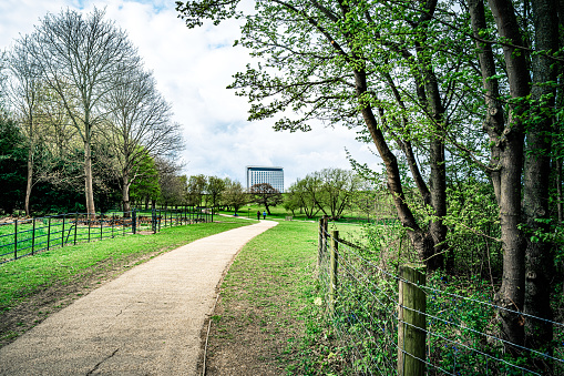 Walking path along in Park, Campbell Park, Milton Keynes