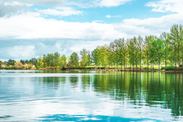 lago willen sob céu nublado azul no verão, milton keynes - water tranquil scene horizon over water nature - fotografias e filmes do acervo