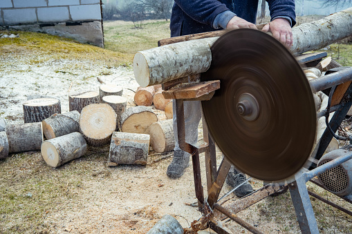 Circular saw blade. preparation of firewood for winter.