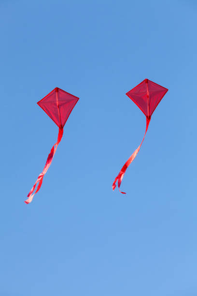 istock red kites flying in a beautiful blue sky 1392799507