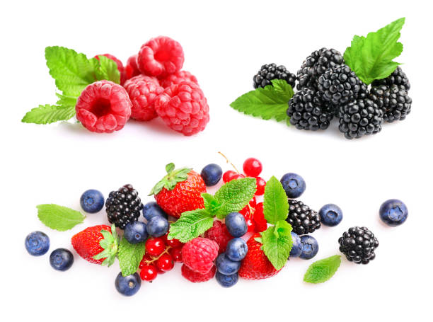 istock Set of different wild fresh berries isolated on white background 1392801470