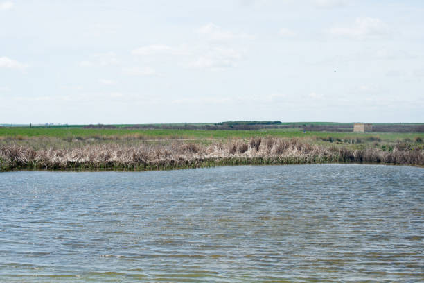 istock Well known spot for bird watching. 1392803719