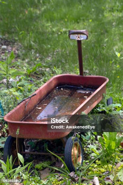 Little Red Wagon Abandoned And Filled With Standing Water Stock Photo - Download Image Now