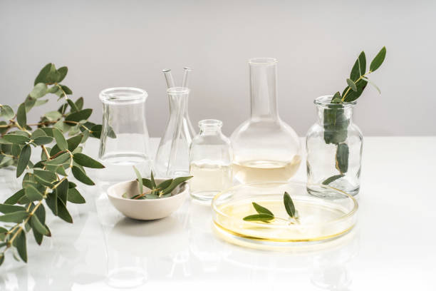 Alternative natural medicine and glassware, flasks and petri bowl. Alternative medicine herbs. Natural beauty skin care products. Concept research and development. Alternative natural medicine and glassware, flasks and petri bowl. Alternative medicine herbs. Natural beauty skin care products. Concept research and development botanical spa treatment stock pictures, royalty-free photos & images