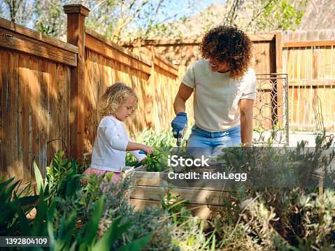 istock Woman in a Backyard Garden 1392804109