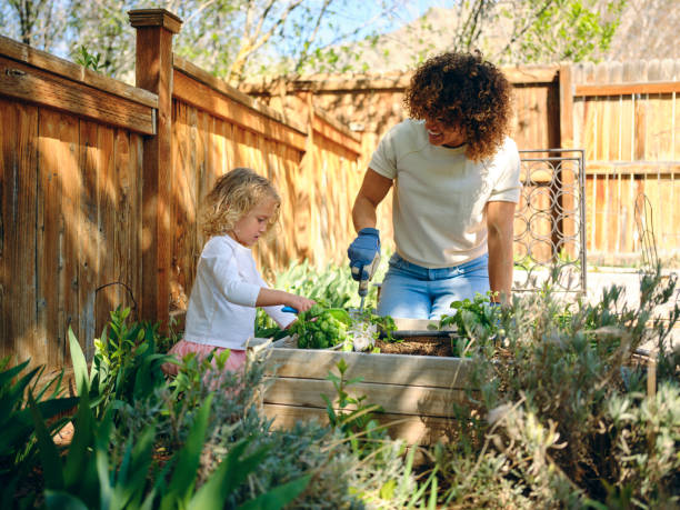 woman in a backyard garden - garden fence imagens e fotografias de stock