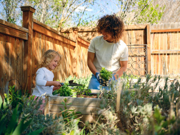 istock Woman in a Backyard Garden 1392804120