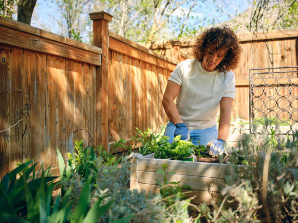 istock Woman in a Backyard Garden 1392804129