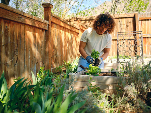 istock Woman in a Backyard Garden 1392804143