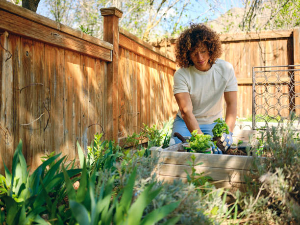istock Woman in a Backyard Garden 1392804150