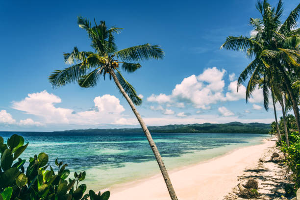 Tropical beach with palms lagoon with white sand on the island of Siquijor, Philippines siquijor stock pictures, royalty-free photos & images