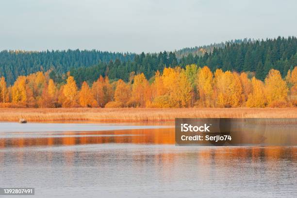 Autumn Forest View By The Lake Stock Photo - Download Image Now - Autumn, Finland, North Karelia - Finland