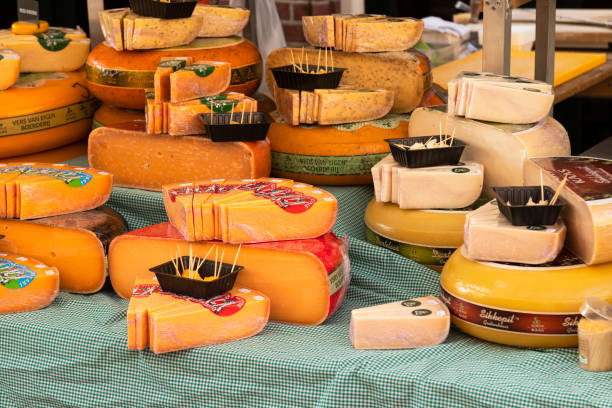 테이블에 표시된 치즈의 다른 유형. - alkmaar cheese market 뉴스 사진 이미지