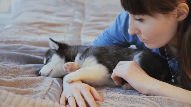 girl lying with puppy Siberian husky on bed,slider