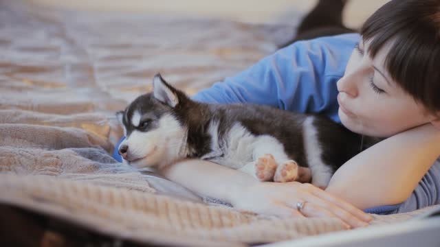 a beautiful girl and a cute puppy of Siberian husky in a room on the bed,dolly