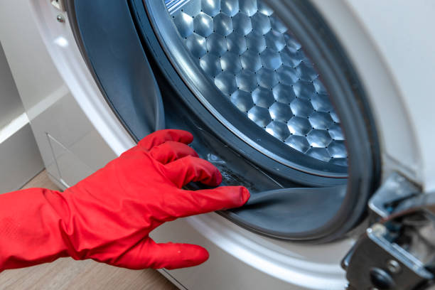 A hand points to mold on the washing machine door.