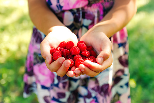 Woman holding berries.