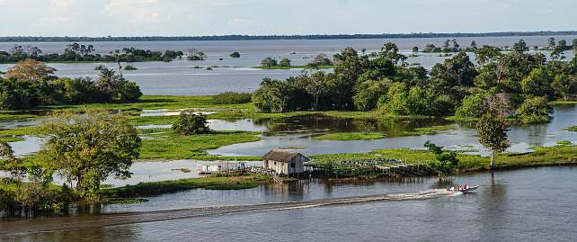 Flooded amazon region near Santarém, Para State, Amazon, Brazil. 2005.