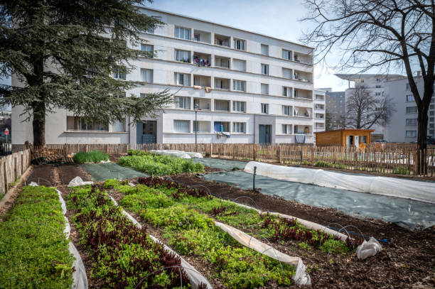 istock Gardening vegetable container in a city 1392823839