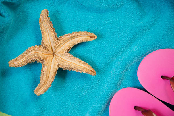 istock Vacation Holiday at the beach collecting sea shells. 1392828084
