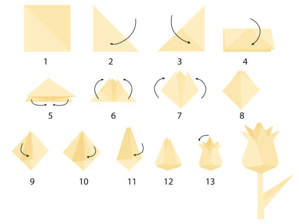 how to make paper flower step by step. DIY crafts. gift for mom, grandmother, sister with their own hands. origami. paper tulip. tutorial. how to make paper flower step by step. DIY crafts. gift for mom, grandmother, sister with their own hands. origami. paper tulip. tutorial. flat vector. origami instructions stock illustrations