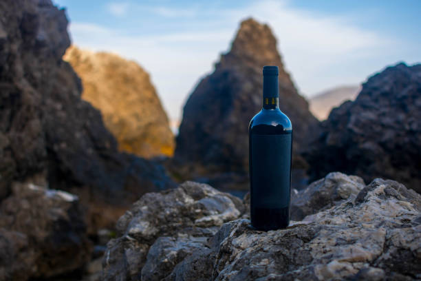istock Bottle of wine by the sea 1392829574