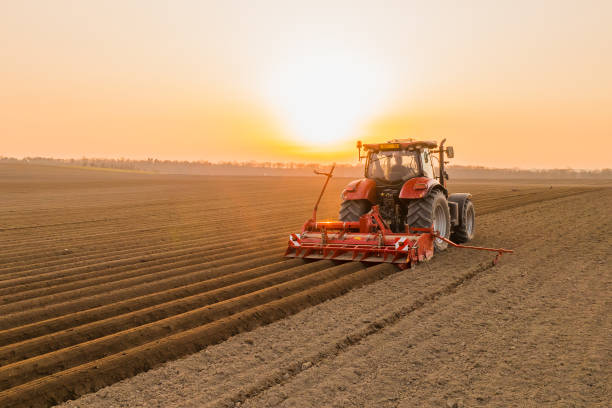 istock Tractor drives across field making beds for sowing seeds 1392832183