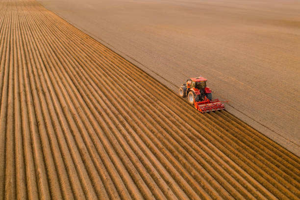 il trattore prepara il terreno per la coltivazione trascinando dietro l'aratro - tillage foto e immagini stock