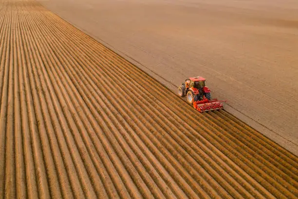 Tractor prepares soil for cultivation dragging plow behind on endless field. Powerful machine works in agriculture at rural site aerial view