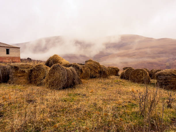 istock Many rolled haystacks with autumn highlands covered in thick cloudy fog 1392839457