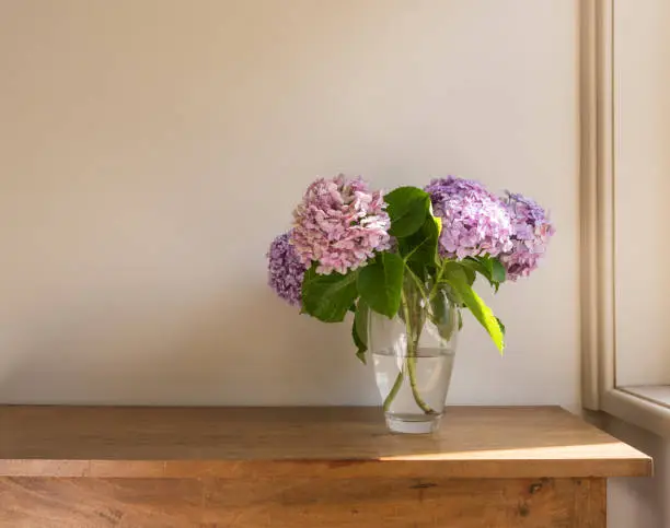 Photo of Pink and purple hydrangeas in glass vase on oak side table