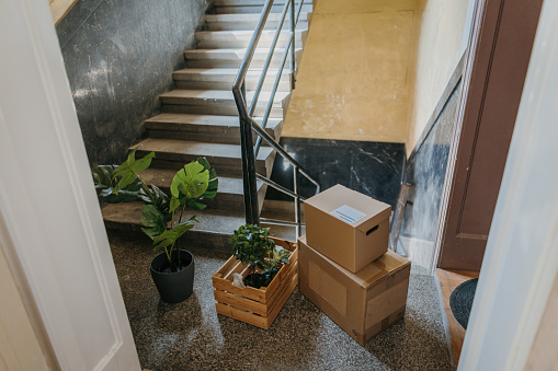 Potted plants and cardboard boxes in front of apartment inside of a building.