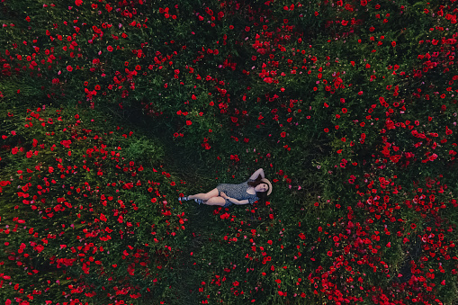 Woman lying in the poppy field, aerial drone view