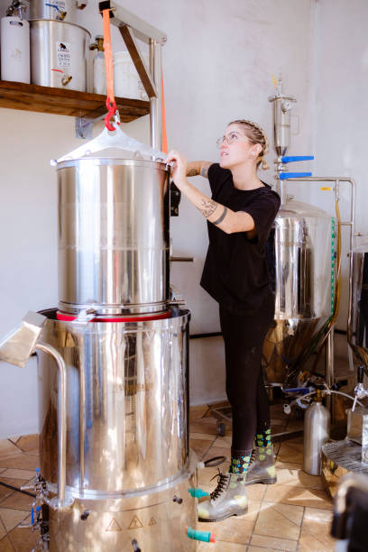istock Young woman performing craft beer production step. 1392862596
