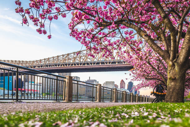 istock Queensboro Bridge and Midtown Manhattan 1392863565