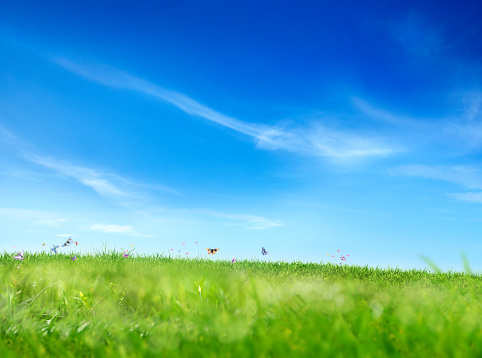 Conceptual image of flying butterflies and green landscape over sunny sky