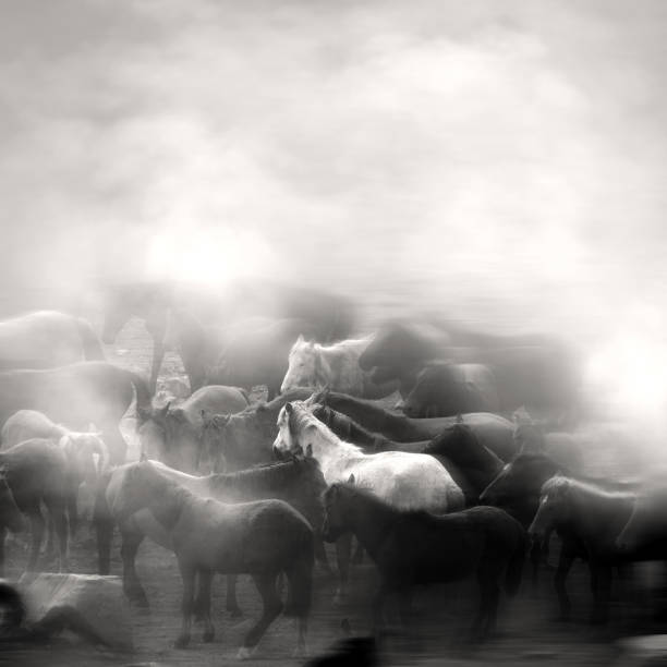 istock Herd of wild horses running in dramatic mountain range landscape 1392869458