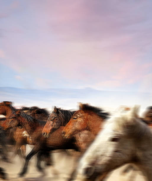 istock Herd of wild horses running in dramatic mountain range landscape 1392869471